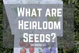 what are heirloom seeds the making life
