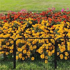 Decorative Garden Fence 24 32 40 Inch