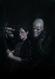 harry and the dark lord mr harry j potter number privet drive harry and the dark lord dark lord voldemort harry potter