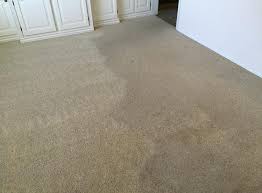 carpet cleaning carpet cleaners ogden ut