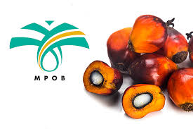 * * if a child is 18 years of age or older, he/she must sign a different letter of undertaking. Bring Mpob Permission Letter When Conducting Palm Oil Business During Mco The Edge Markets