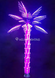 Palm Tree Lights Palm Trees Coconut