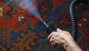 area rug cleaning in airdrie