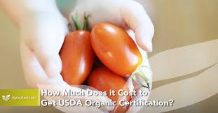 cost to get usda organic certification