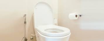 How To Fix A Loose Toilet Seat Plumbwize