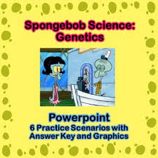 Spongebob is heterozygous for his square shape, but spongesusie is round. Spongebob Science Genetics Powerpoint By Amy Mele Tpt