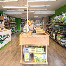 Reptile pet store in puyallup details. Specialist Reptile Shop In Oxford Reptile Supplies For Sale