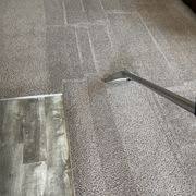 abbey carpet cleaning 295 lema dr