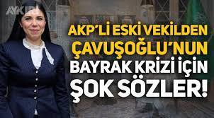 AKP'li eski vekil Pelin Gündeş'ten Mevlüt Çavuşoğlu'na tepki - Gündem -  AYKIRI haber sitesi
