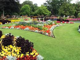 flower garden definition and synonyms