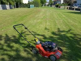 Lawn Cutting Service Gardening Landscaping Service