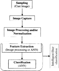 Figure 2 From Intelligent Animal Fiber Classification With