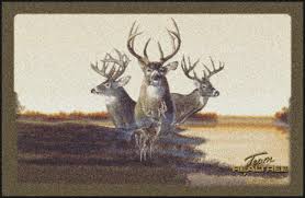 realtree deer fall scenic camouflage