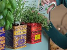 magnetic herb garden for the fridge
