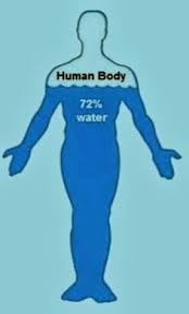 101 Best Human Body Images Human Body Human Body Unit