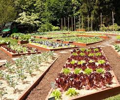 These Free Vegetable Garden Plans Will