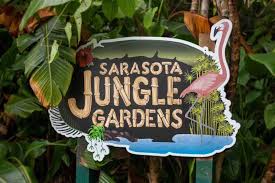 a sarasota jungle gardens trip guide