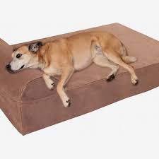 10 Very Best Dog Beds 2022 The Strategist