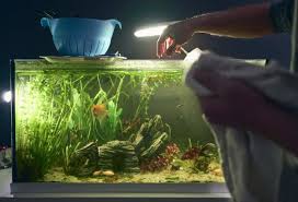cleaning a fish tank with vinegar