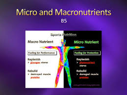 ppt micro and macronutrients
