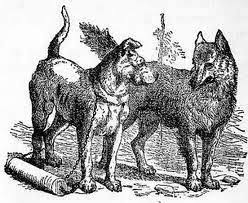 Resultado de imaxes para el perro y el lobo fabula
