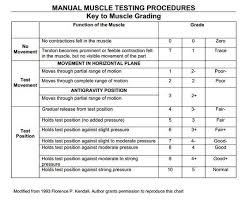 Manual Muscle Testing Grading Chart Florence Kendall