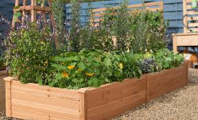 How To Build Raised Garden Beds The