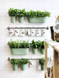 Window Herb Garden Ideas For City Gardeners