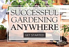 successful container gardening systems