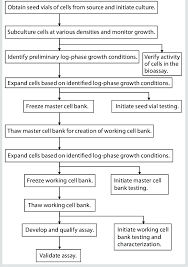 Example Flow Chart Of Cell Banking Process Download