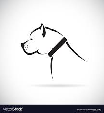 pitbull dog royalty free vector image