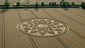 Image result for crop circle