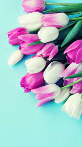 Обои для рабочего стола Тюльпаны цветок Цветной фон 1080x1920
