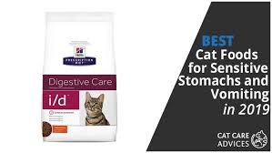 Best Cat Food For Vomiting Sensitive Stomachs 2019 Guide