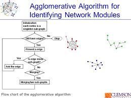 Modular Organization Of Protein Interaction Network Feng Luo