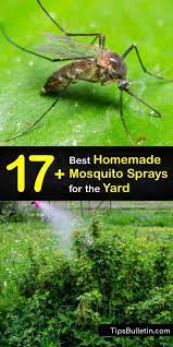 Diy Mosquito Sprays Make Your Own