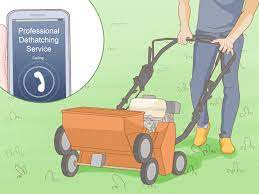 Dethatching your lawn improves its overall health. How To Know If Your Lawn Needs Dethatching 9 Steps