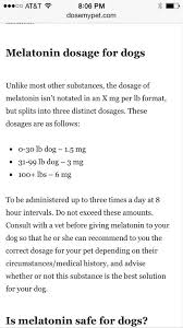 Melatonin Use For Dogs Melatonin For Dogs Baby Dogs