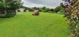 Ride On Mowing Lawn Care Grass