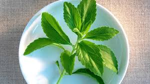 What Is Stevia Health Benefits Safety Info Top Sellers
