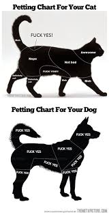 Petting Chart For Your Cat And Dog Cats Animals Cute