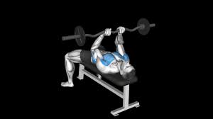 ez bar bench press how to video