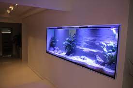 Custom Fish Tanks Sydney