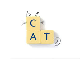 dictionary of cat slang terms the