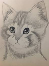 You can also visit abc art skills, drawing animals in pencil, or cartoon paint to have more information about drawing lessons for beginners. Simple Pencil Drawings Of Animals Pencil Drawings Of Animals Pencil Drawings Easy Cartoon Pencil Drawing