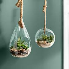 gl hanging terrarium