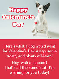 Happy valentine's day to someone so pawsative and rebarkable. Doggone Good Time Funny Valentine S Day Card For Everyone Birthday Greeting Cards By Davia