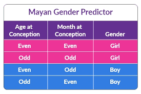 mayan calendar gender prediction