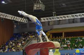 the various types of gymnastics gold