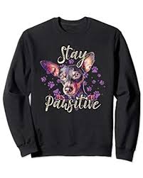53 chihuahua famous sayings, quotes and quotation. Shop Deals For Cute Miniature Pinscher Stay Pawsitive Pun Quote Min Pin Dog Sweatshirt